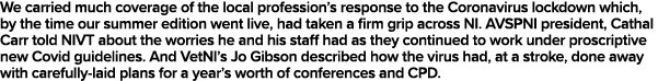 We carried much coverage of the local profession s response to the Coronavirus lockdown which, by the time our summer   