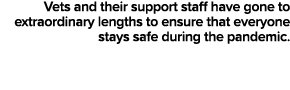 Vets and their support staff have gone to extraordinary lengths to ensure that everyone stays safe during the pandemic 