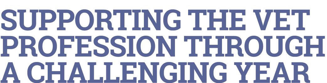 Supporting the vet profession through a challenging year