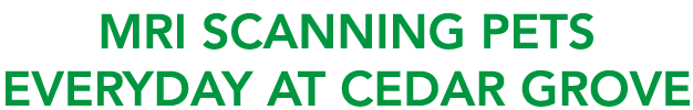 MRI scanning pets everyday at Cedar Grove