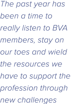 The past year has been a time to really listen to BVA members, stay on our toes and wield the resources we have to su   