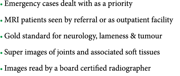   Emergency cases dealt with as a priority   MRI patients seen by referral or as outpatient facility   Gold standard    