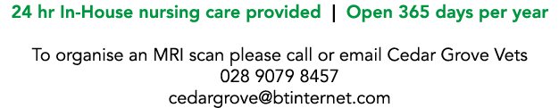 24 hr In-House nursing care provided   Open 365 days per year  To organise an MRI scan please call or email Cedar Gro   