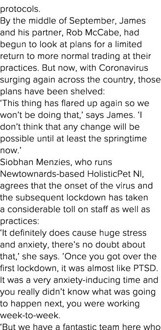 protocols  By the middle of September, James and his partner, Rob McCabe, had begun to look at plans for a limited re   
