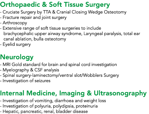 Orthopaedic & Soft Tissue Surgery - Cruciate Surgery by TTA & Cranial Closing Wedge Osteotomy - Fracture repair and j   