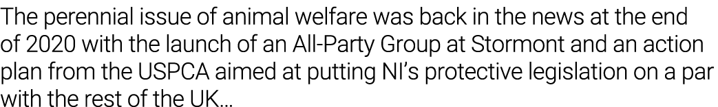 The perennial issue of animal welfare was back in the news at the end of 2020 with the launch of an All-Party Group a   