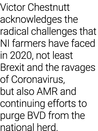 Victor Chestnutt acknowledges the radical challenges that NI farmers have faced in 2020, not least Brexit and the rav   