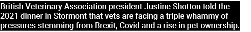 British Veterinary Association president Justine Shotton told the 2021 dinner in Stormont that vets are facing a trip   