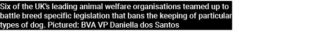 Six of the UK s leading animal welfare organisations teamed up to battle breed specific legislation that bans the kee   