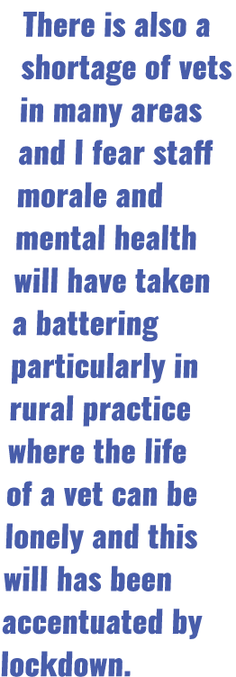 There is also a shortage of vets in many areas and I fear staff morale and mental health will have taken a battering    