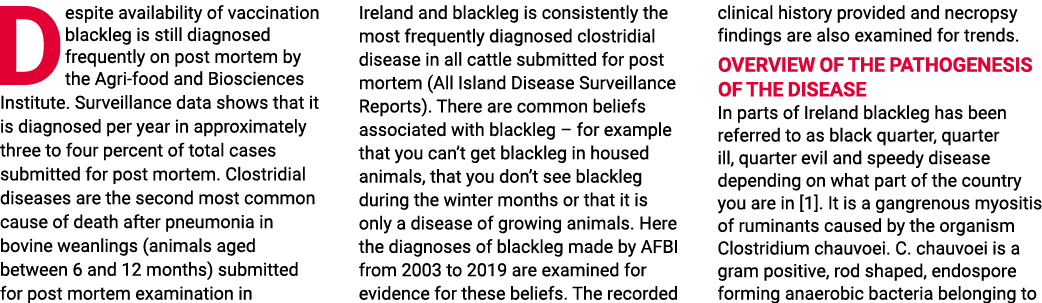 Despite availability of vaccination blackleg is still diagnosed frequently on post mortem by the Agri-food and Biosci   