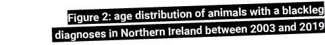 Figure 2: age distribution of animals with a blackleg diagnoses in Northern Ireland between 2003 and 2019
