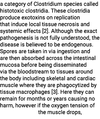 a category of Clostridium species called histotoxic clostridia  These clostridia produce exotoxins on replication tha   