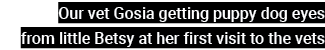 Our vet Gosia getting puppy dog eyes from little Betsy at her first visit to the vets