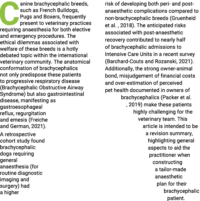 Canine brachycephalic breeds, such as French Bulldogs, Pugs and Boxers, frequently present to veterinary practices re   
