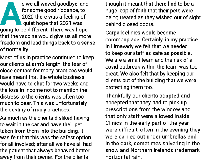 As we all waved goodbye, and for some good riddance, to 2020 there was a feeling of  quiet hope that 2021 was going t   