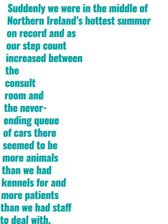 Suddenly we were in the middle of Northern Ireland s hottest summer on record and as our step count increased between   