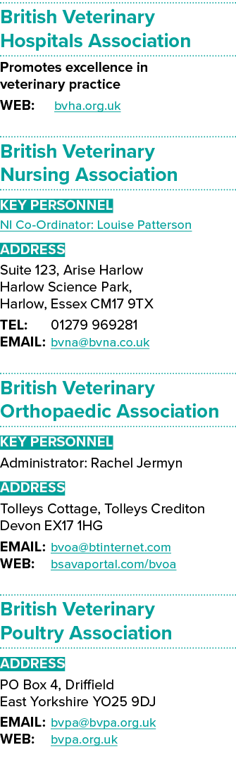 British Veterinary Hospitals Association Promotes excellence in veterinary practice WEB: bvha org uk British Veterina   