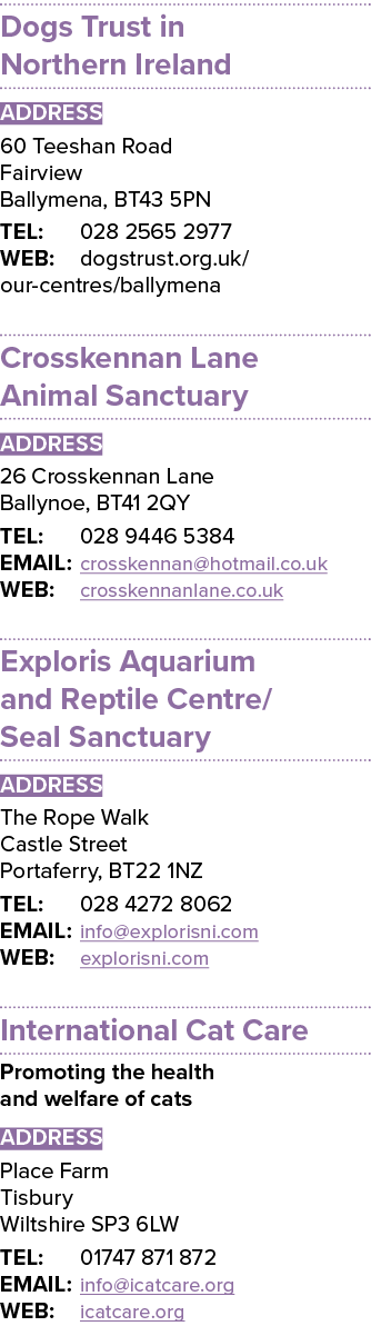 Dogs Trust in Northern Ireland ADDRESS 60 Teeshan Road Fairview Ballymena, BT43 5PN TEL: 028 2565 2977 WEB: dogstrust   