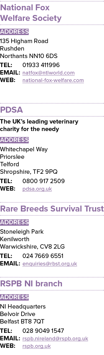 National Fox Welfare Society ADDRESS 135 Higham Road Rushden Northants NN10 6DS TEL: 01933 411996 EMAIL: natfox ntlwo   