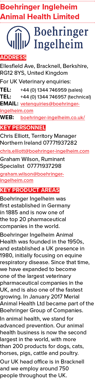 Boehringer Ingleheim Animal Health Limited  ADDRESS Ellesfield Ave, Bracknell, Berkshire, RG12 8YS, United Kingdom Fo   