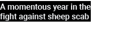 A momentous year in the fight against sheep scab