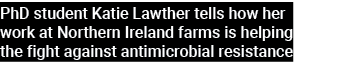 PhD student Katie Lawther tells how her work at Northern Ireland farms is helping the fight against antimicrobial res...