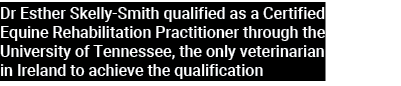 Dr Esther Skelly Smith qualified as a Certified Equine Rehabilitation Practitioner through the University of Tennesse...