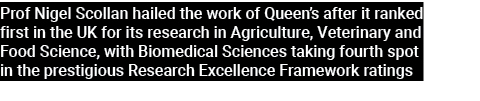 Prof Nigel Scollan hailed the work of Queen’s after it ranked first in the UK for its research in Agriculture, Veteri...