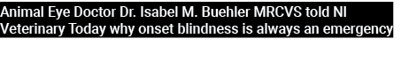 Animal Eye Doctor Dr. Isabel M. Buehler MRCVS told NI Veterinary Today why onset blindness is always an emergency