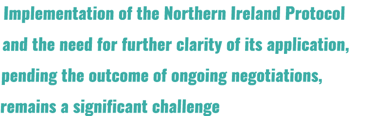 Implementation of the Northern Ireland Protocol and the need for further clarity of its application, pending the outc...