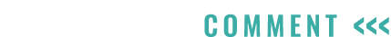 COMMENT    