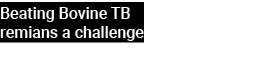 Beating Bovine TB remians a challenge