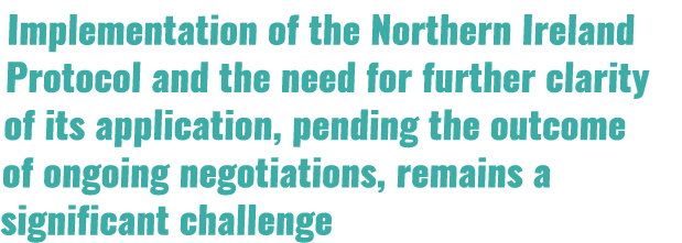 Implementation of the Northern Ireland Protocol and the need for further clarity of its application, pending the outc...