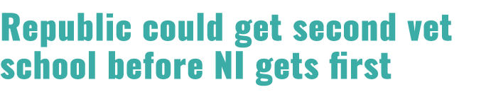 Republic could get second vet school before NI gets first 