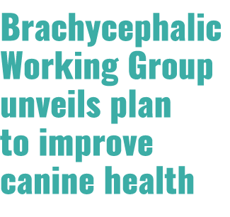 Brachycephalic Working Group unveils plan to improve canine health