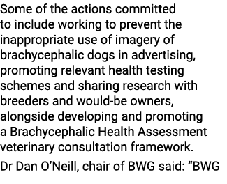 Some of the actions committed to include working to prevent the inappropriate use of imagery of brachycephalic dogs i...