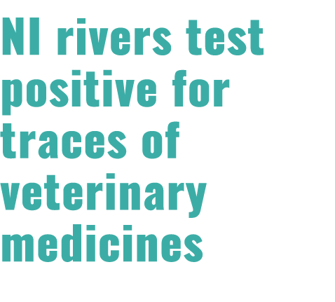 NI rivers test positive for traces of veterinary medicines 