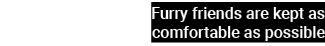Furry friends are kept as comfortable as possible