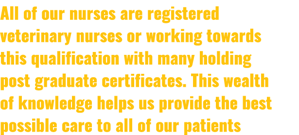 All of our nurses are registered veterinary nurses or working towards this qualification with many holding post gradu...