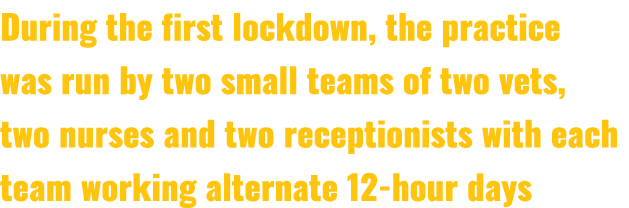 During the first lockdown, the practice was run by two small teams of two vets, two nurses and two receptionists with...