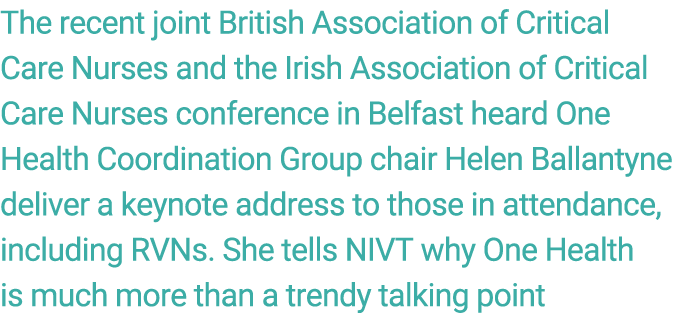 The recent joint British Association of Critical Care Nurses and the Irish Association of Critical Care Nurses confer...