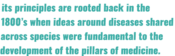 its principles are rooted back in the 1800’s when ideas around diseases shared across species were fundamental to the...