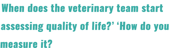 When does the veterinary team start assessing quality of life?’ ‘How do you measure it?