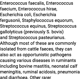 Enterococcus faecalis, Enterococcus faecium, Enterococcus hirae, Escherichia coli, Escherichia fergusonii, Staphyloco...