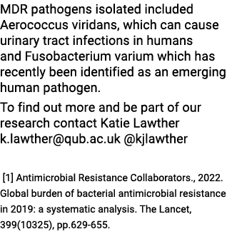 MDR pathogens isolated included Aerococcus viridans, which can cause urinary tract infections in humans and Fusobacte...
