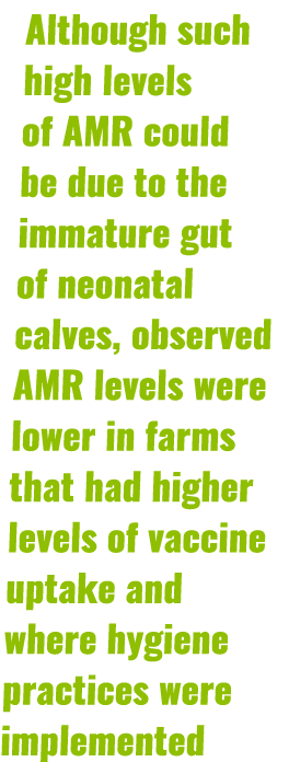 Although such high levels of AMR could be due to the immature gut of neonatal calves, observed AMR levels were lower ...