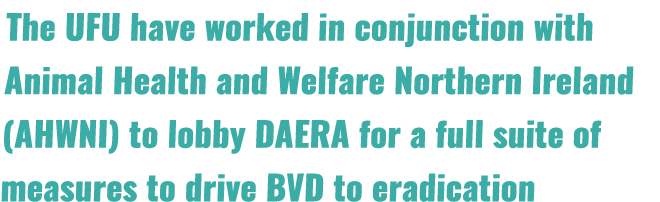 The UFU have worked in conjunction with Animal Health and Welfare Northern Ireland (AHWNI) to lobby DAERA for a full ...