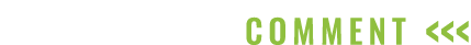 COMMENT    