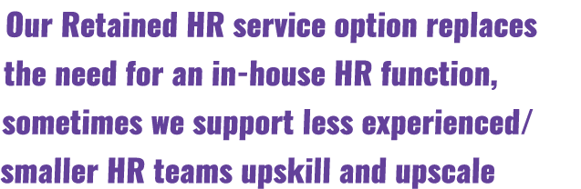 Our Retained HR service option replaces the need for an in house HR function, sometimes we support less experienced/s...